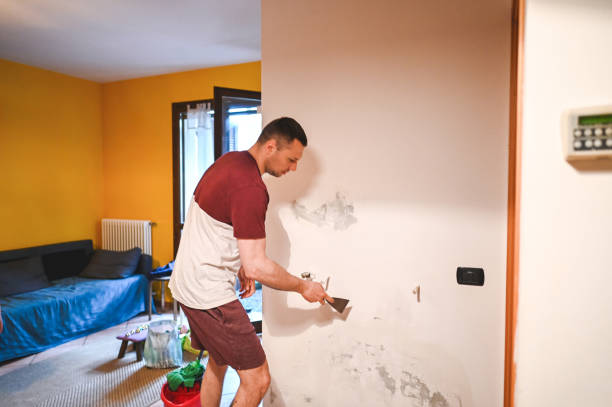 Best Toxic Mold Removal  in Panora, IA